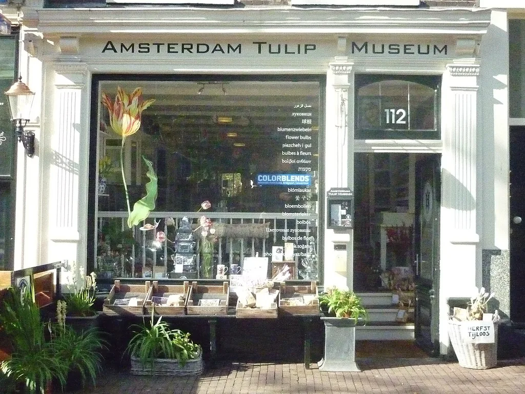 튤립 박물관(Amsterdam Tulip Museum)