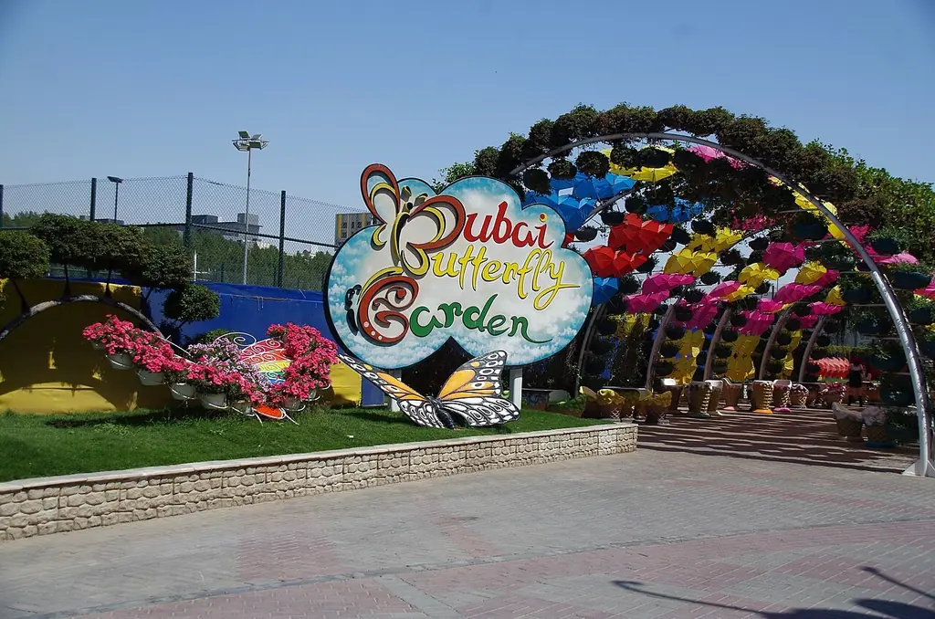 두바이 버터플라이 가든(Dubai Butterfly Garden)