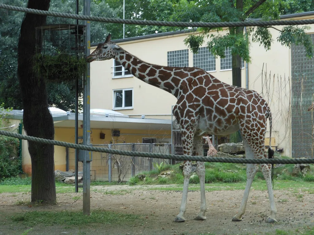 프랑크푸르트 동물원(Zoo Frankfurt)