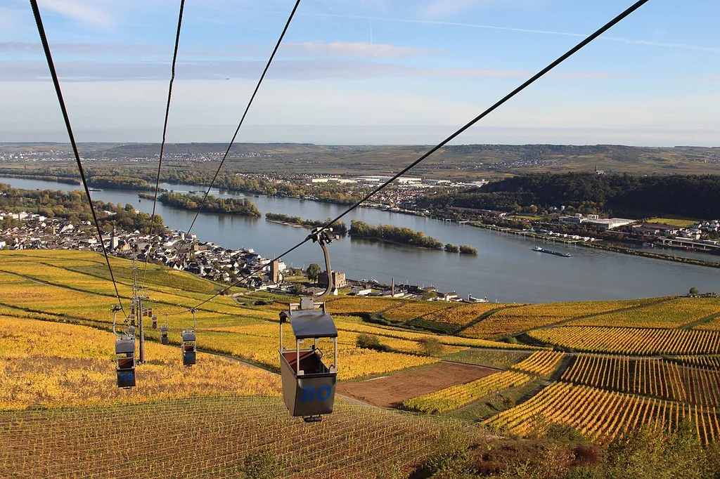 뤼데스하임 케이블카 왕복(Seilbahn Rüdesheim, Berg und Tal)