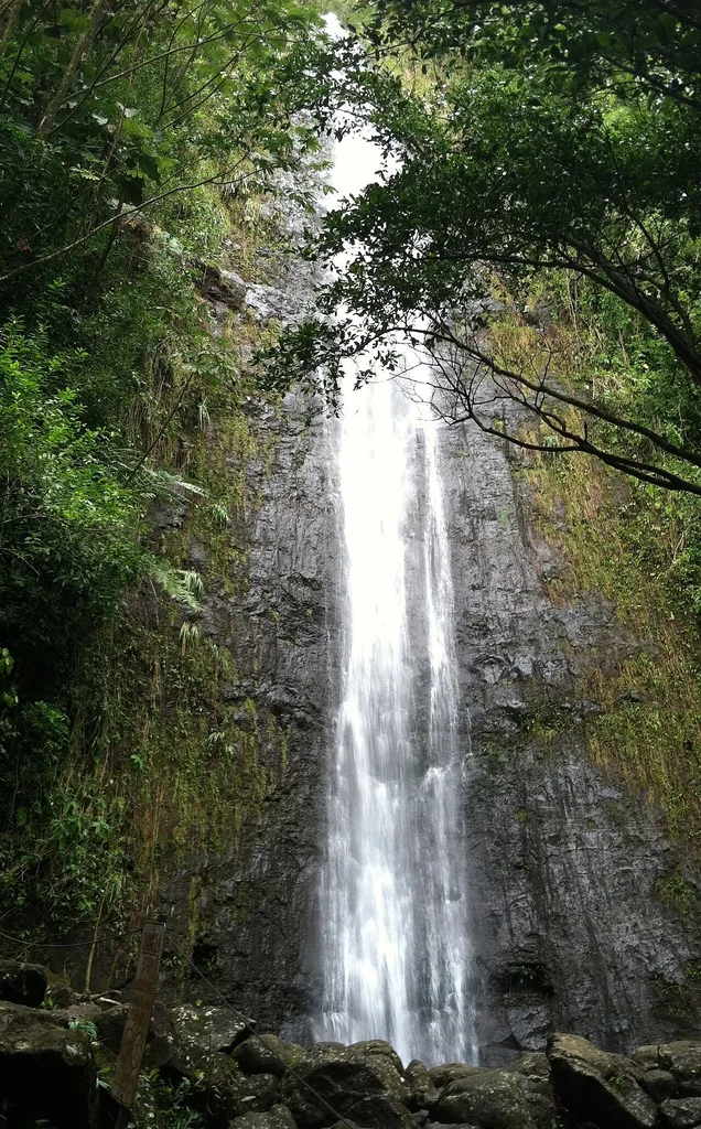 마노아 폭포 트레일(Mānoa Falls Trail)