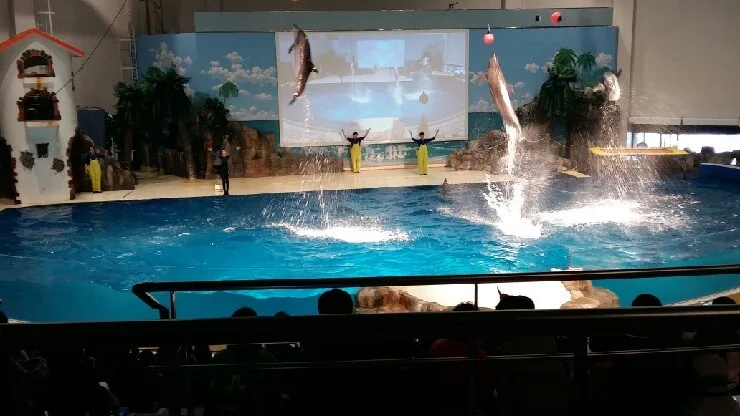 아쿠아플라넷 제주