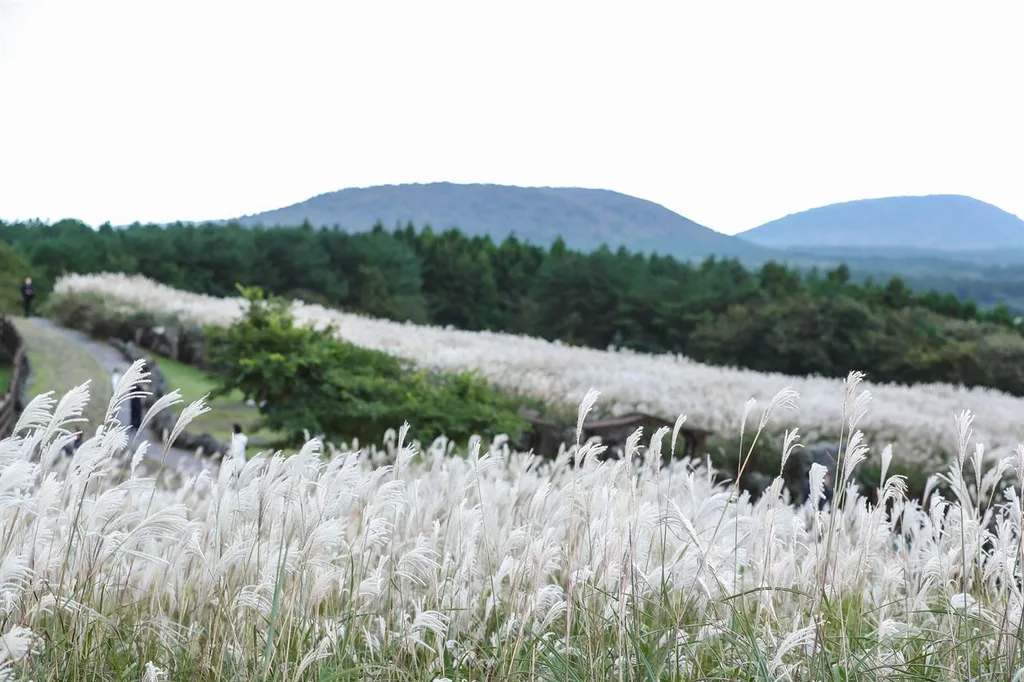 산굼부리