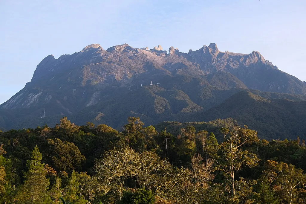 키나발루 공원(Taman Kinabalu / Kinabalu Park)