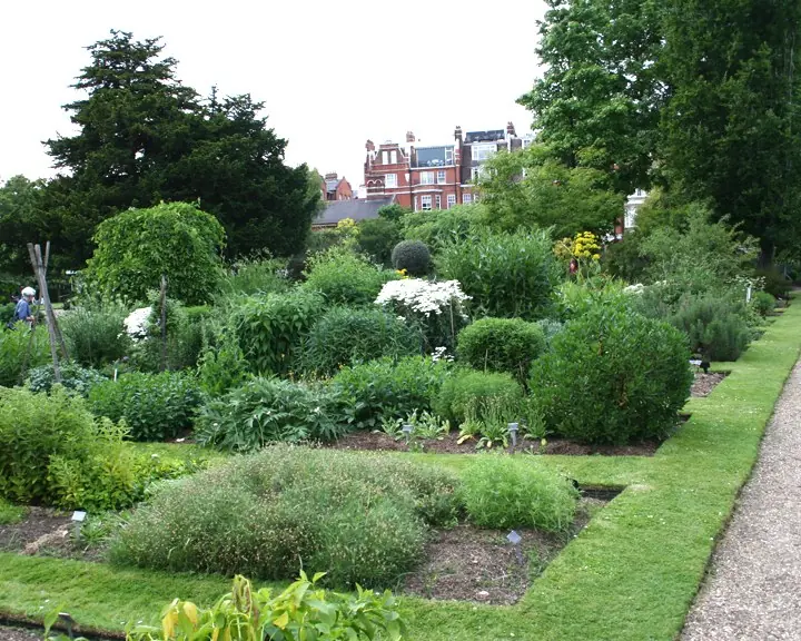 첼시 피직 가든(Chelsea Physic Garden)