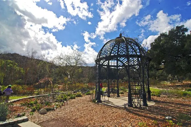 데스칸소 가든(Descanso Gardens)