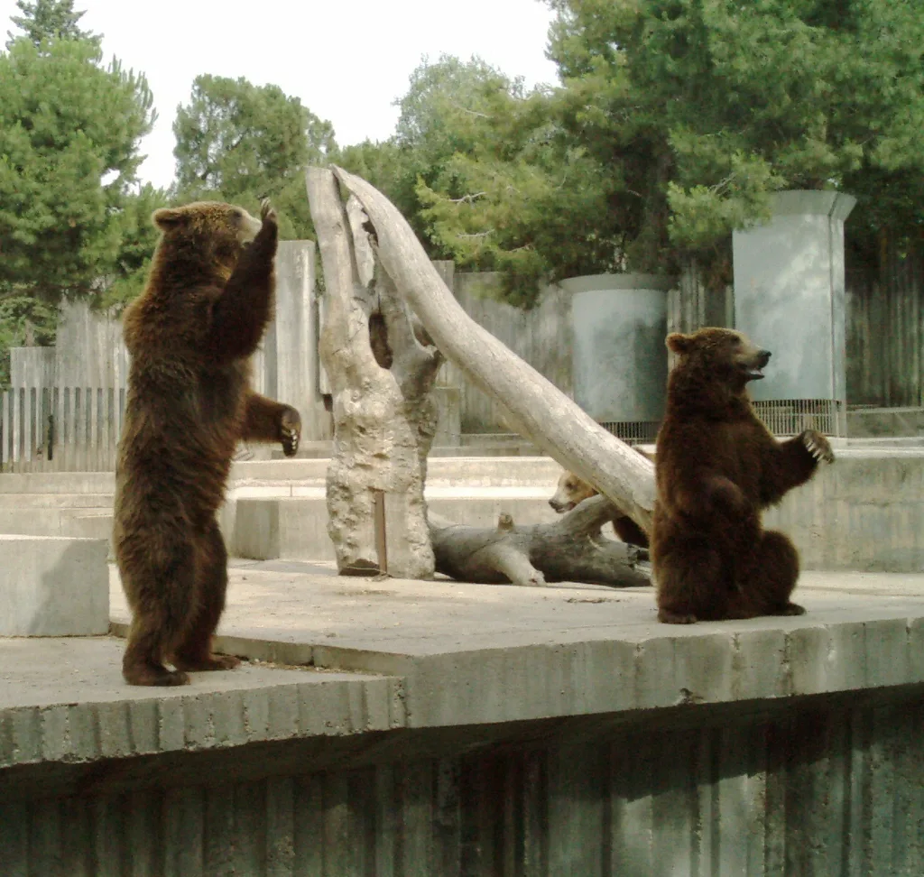 마드리드 동물원·수족관(Zoo Aquarium de Madrid)