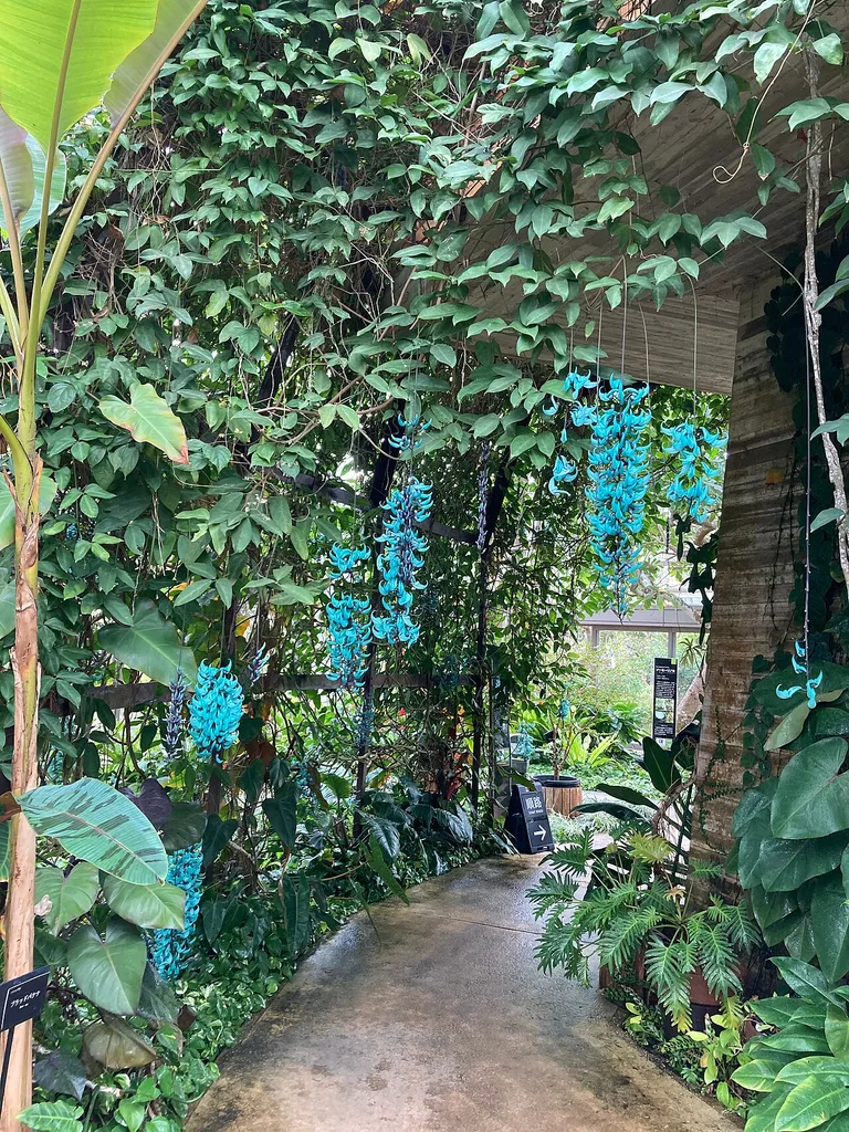 추라시마 식물원 · 열대 드림센터(美ら島植物園(熱帯ドリームセンター))
