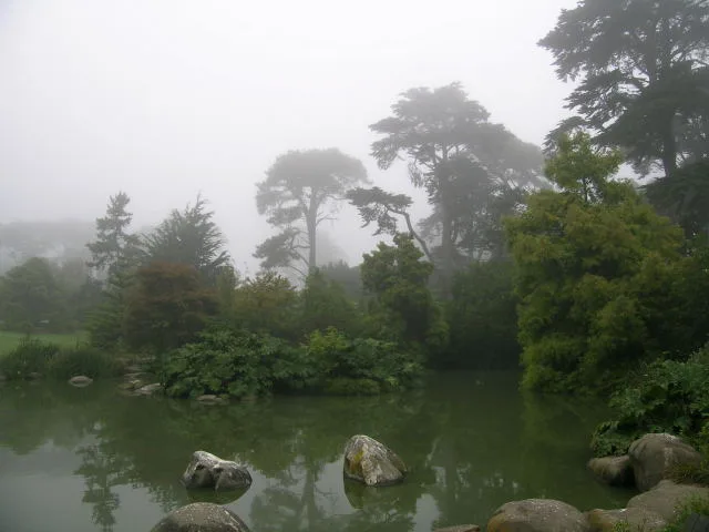 샌프란시스코 식물원(San Francisco Botanical Garden)