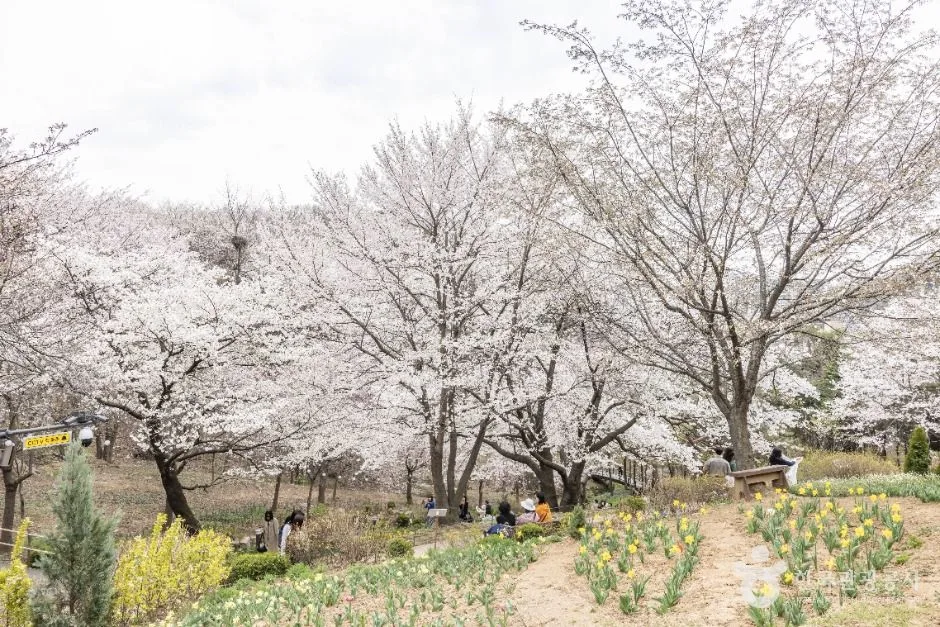 Yeonhui Forest Rest Area