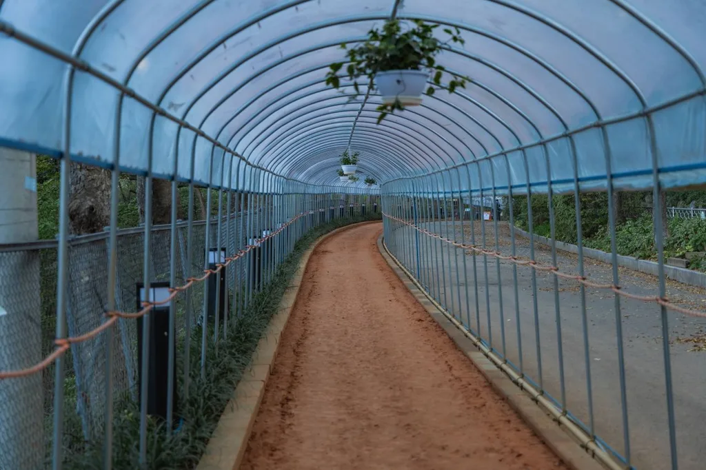 Ansan Red Clay Trail