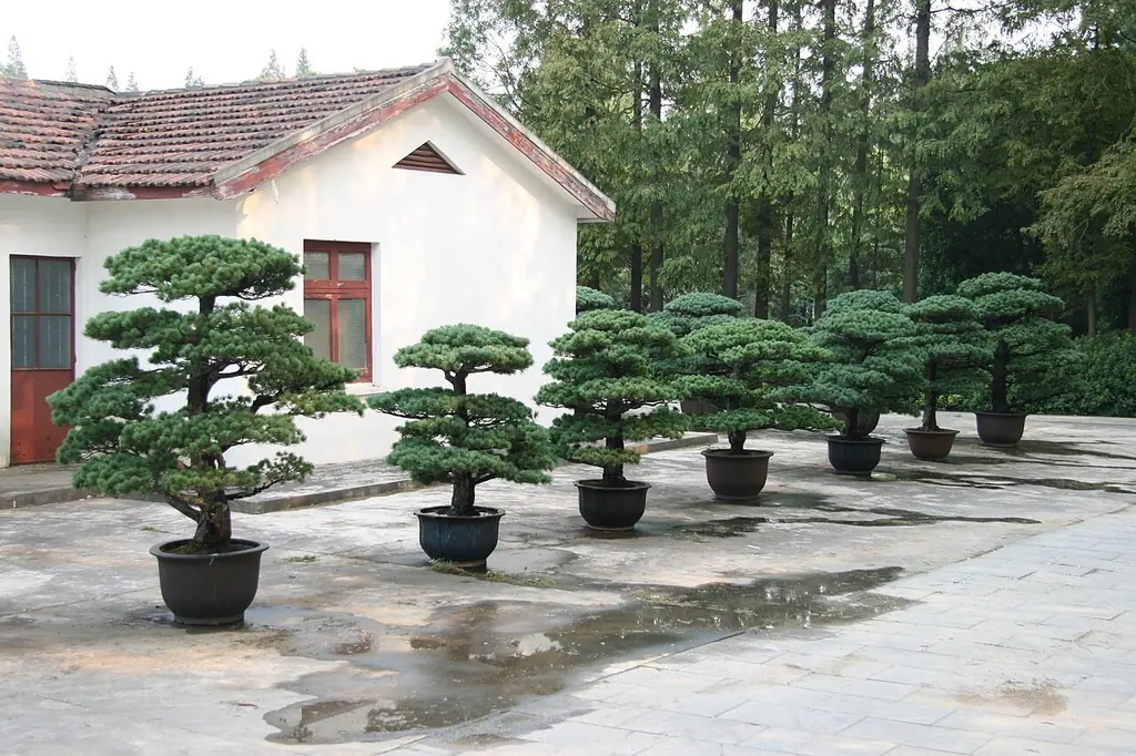 상하이 식물원(上海植物园)