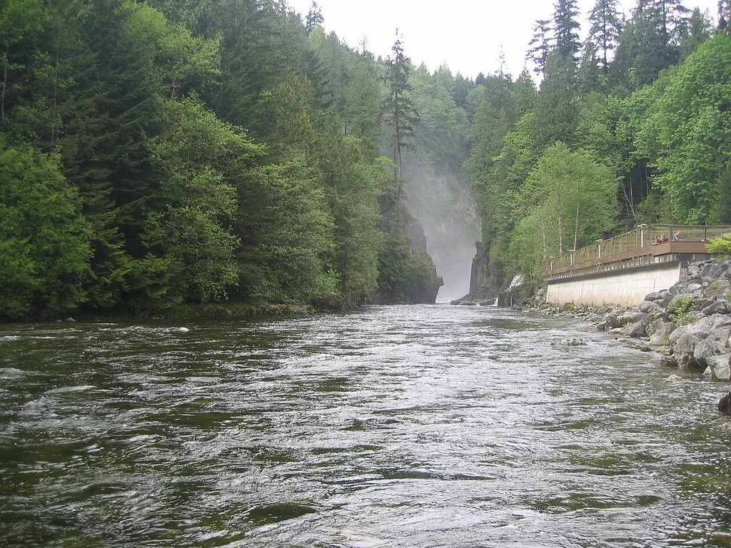 캐필라노 강 부화장(Capilano River Hatchery)